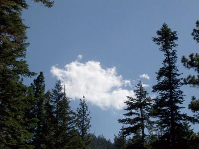 Cloud Over Tahoe Forest.jpg