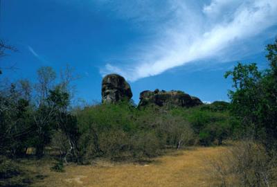 Yala National Park