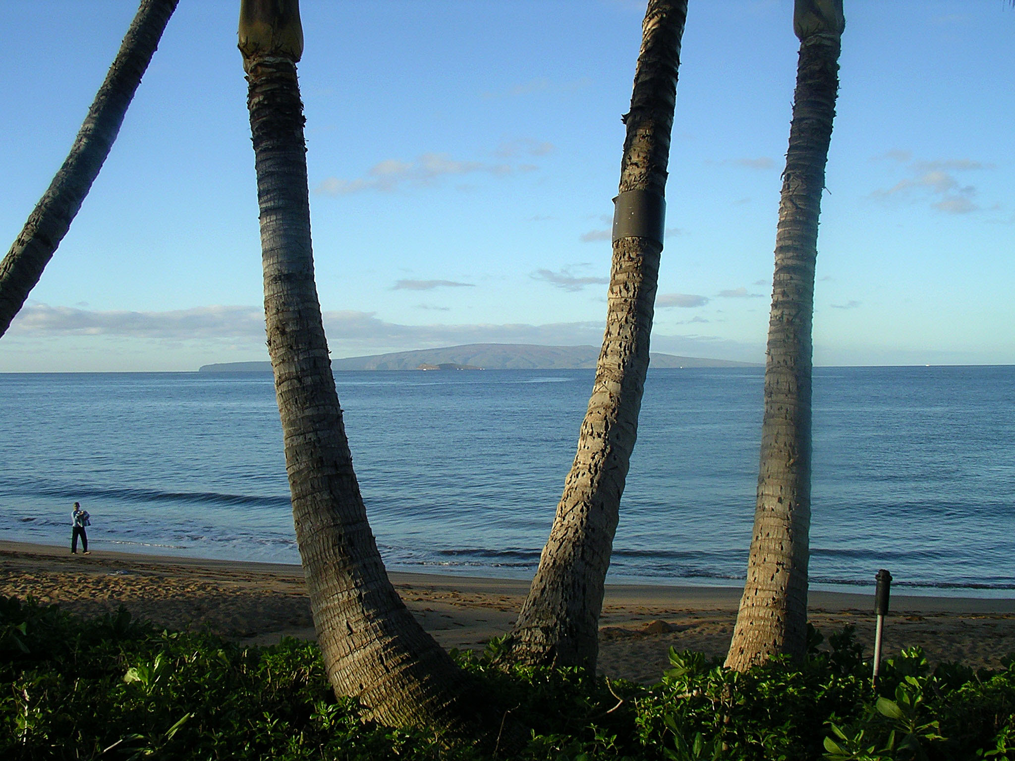Wailea
