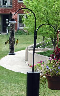 u32/jmac/medium/31503721.birdfeeder.jpg