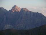 Retona
