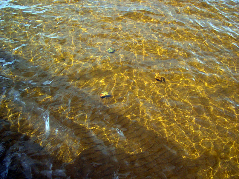 DSCN2388.jpg