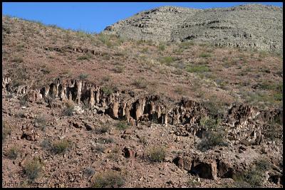 desierte