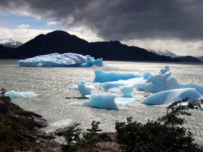 Icebergs, Lago Grey