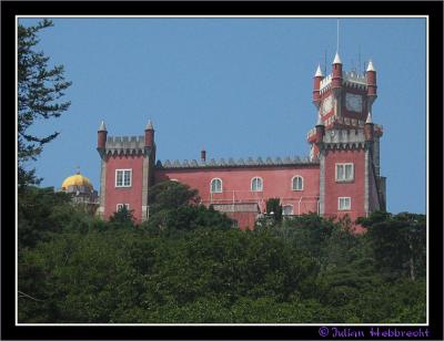  IMG_8239