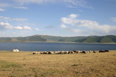 Central Mongolia