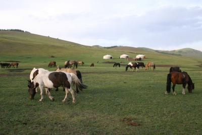 Central Mongolia