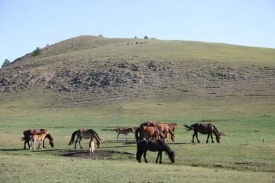 Central Mongolia