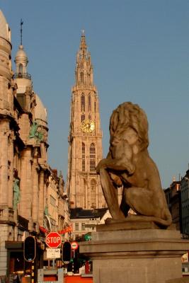Lion & Cathedral
