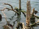 040710 Tillamook Bay