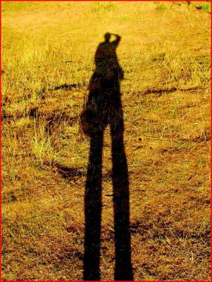 Walk tall.