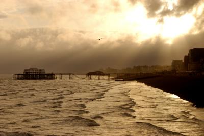 Derelict West Pier, Brighton by Dave Millier