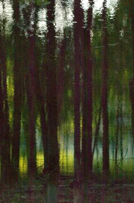 reflections by John Hill