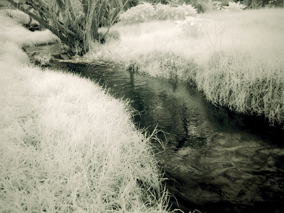 Brownhill Creek by Paul Rohal
