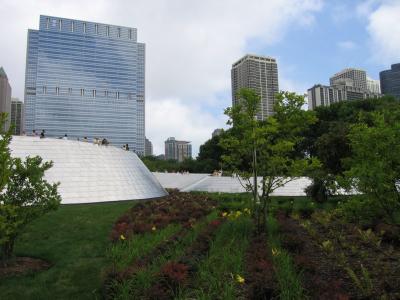 IMG_1433.jpg