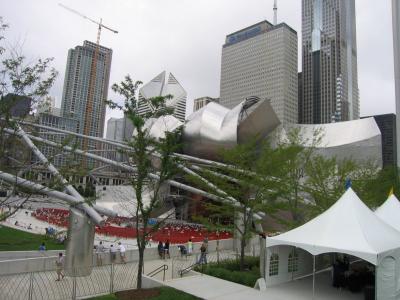 IMG_1447.jpg