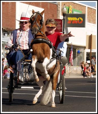 Parade & Rodeo