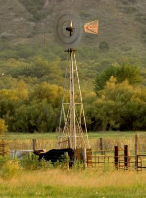 Windmill 209.jpg
