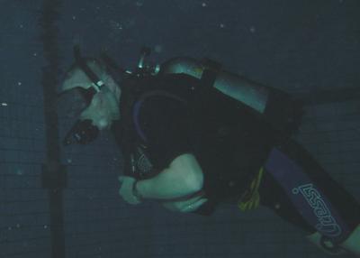 owd 2005-03 4563.jpg