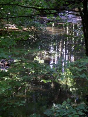 Clairefontaine