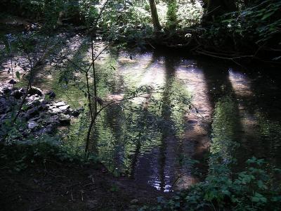 Clairefontaine