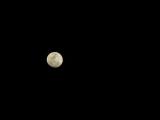 DSC00046.jpg