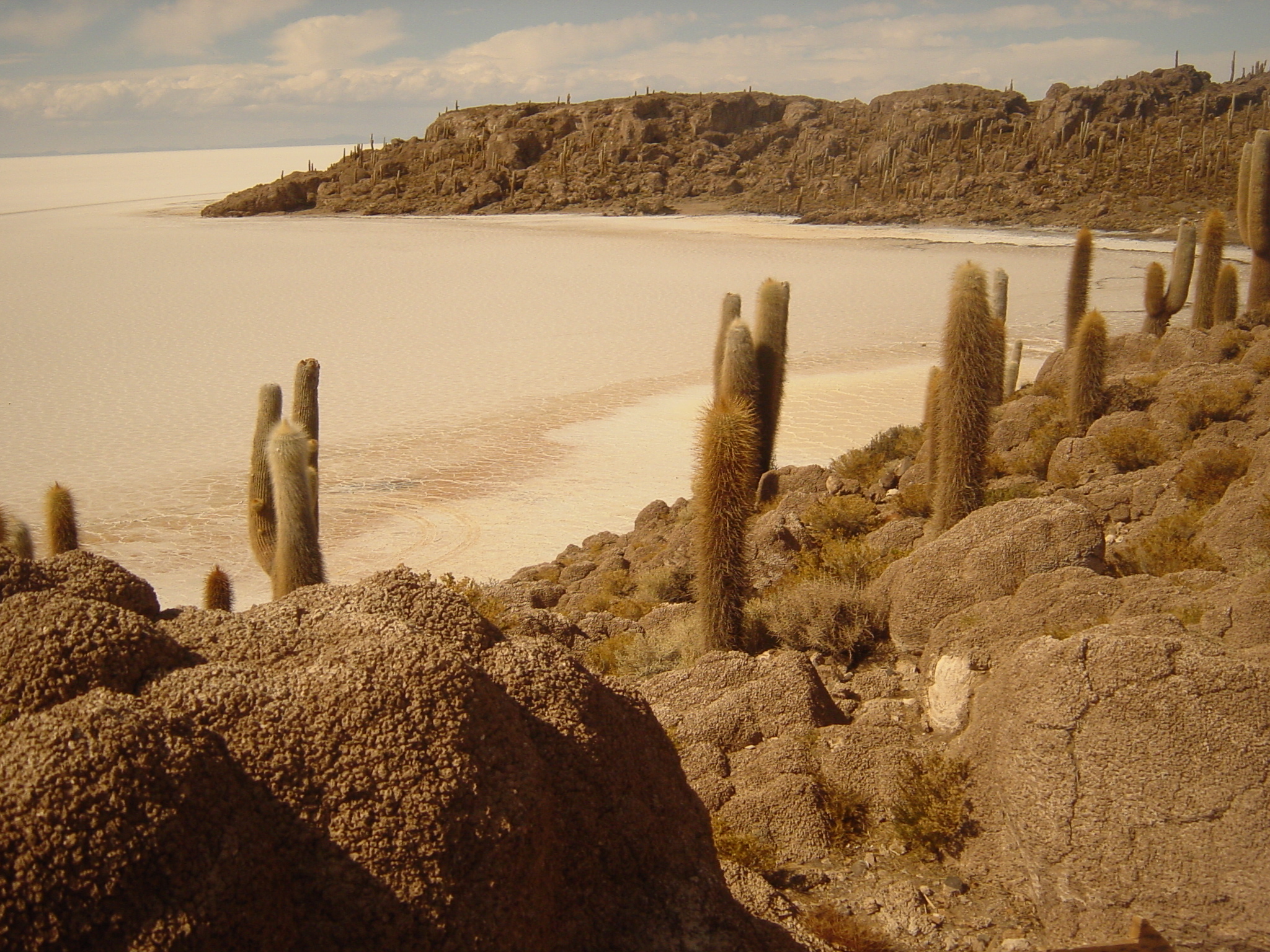 FishIsland.JPG