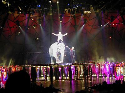 Great White Elephant