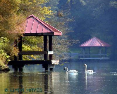 Lake Elkhorn Swan Gazebos 530bZ