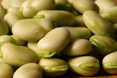 broad (fava) beans