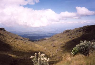 Mt Kenya - valley