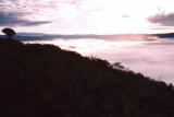 Ngorogoro Crater - early morning mist