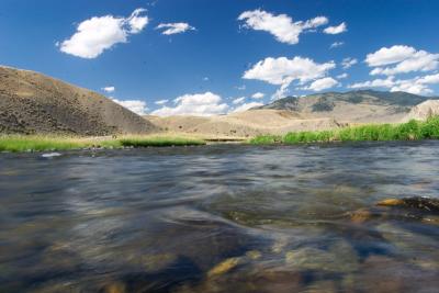 Wading in the Madison river