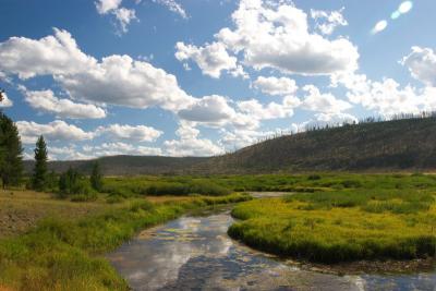 One of many small yellowstone lakes