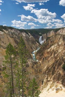 The grand canyon of the yellowstone