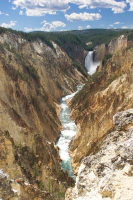 The grand canyon of the yellowstone