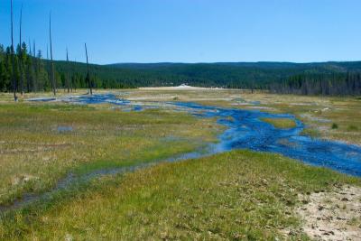 Geyser (in the distance) and blue runoff