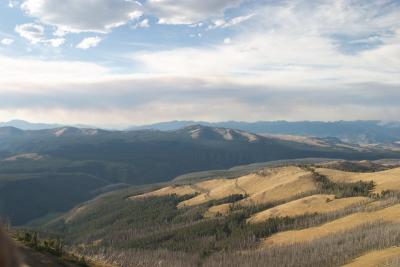Overlooking the park from Mt Washburn