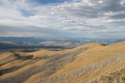 Overlooking the park from Mt Washburn