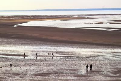 Armanville-Plage: The Family on the Beach at Low Tide