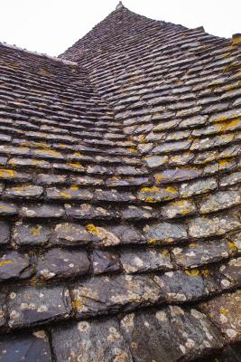 Pirou Castle: Roof