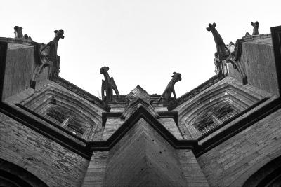 Mont-St-Michel: Gargoyles