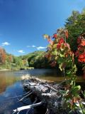 md-river-pond-8189.jpg