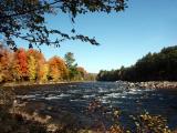 pemigewasset-river-8559.jpg