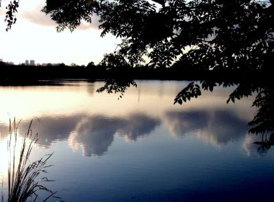 clouds in lake