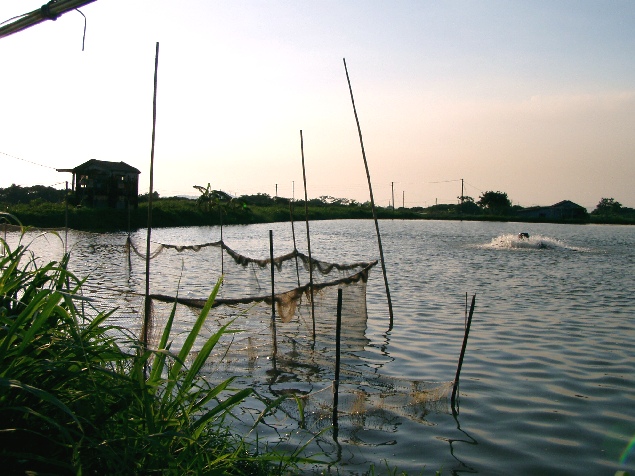 intranet within pond