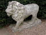 Stoned Lion