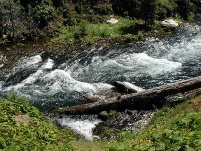 Downstream from Lemolo Falls