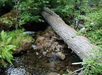 Downstream from Watson Falls