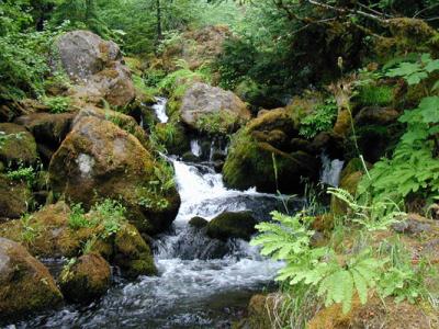 Downstream from Watson Falls